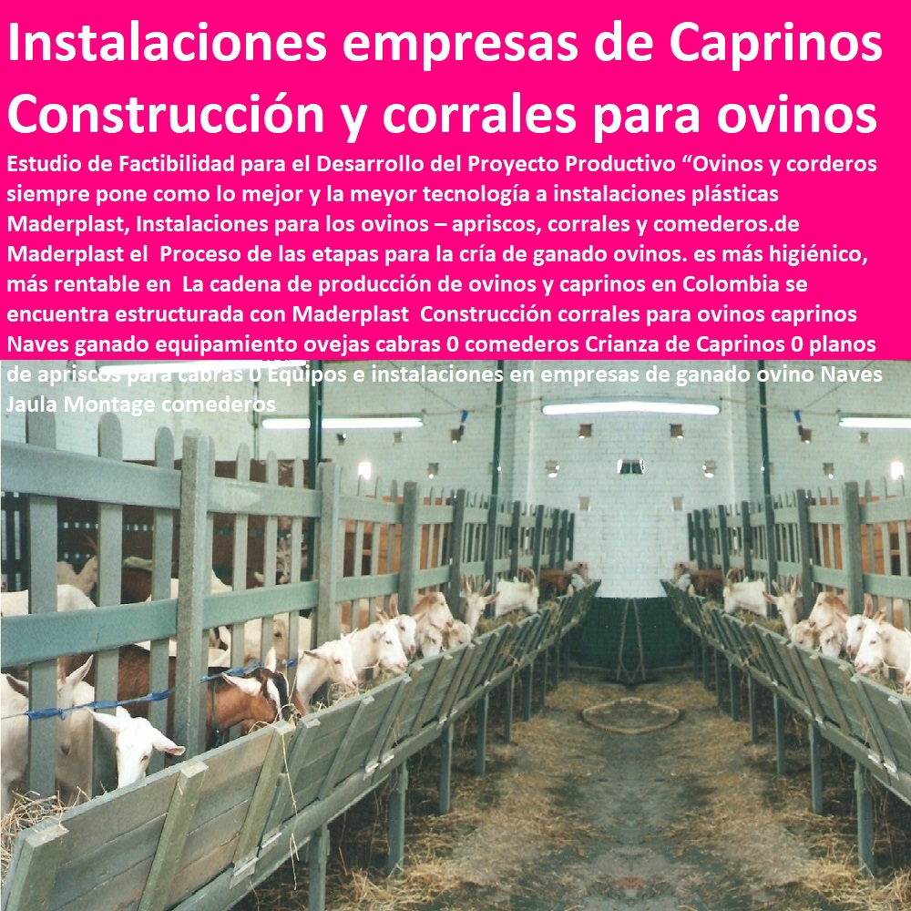 Construcción corrales para ovinos caprinos Naves ganado equipamiento ovejas cabras 0 comederos Crianza de Caprinos 0 planos de apriscos para cabras 0 Equipos e instalaciones en empresas de ganado ovino Naves Jaula Montage comederos Construcción corrales para ovinos caprinos corral de cabras apriscos corrales para caprinos estabulación ovejas cabras cabritos borregos chivos chivas, corralejas elevadas, apriscos estabulación de caprinos. planos de apriscos para cabras, establo para cabras, diseño de corrales para cabras, proyecto cabras lecheras en corral, corrales para cabras lecheras, Naves ganado equipamiento ovejas cabras 0 comederos Crianza de Caprinos 0 planos de apriscos para cabras 0 Equipos e instalaciones en empresas de ganado ovino Naves Jaula Montage comederos